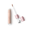 DAYS IN BLOOM HIDE&SHINE ALL-OVER CONCEALER