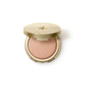 Holiday Wonderlights Merryglow Highlighter