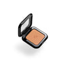 Maxi Mod High Pigment Eyeshadow
