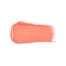 Smart Fusion Lipstick